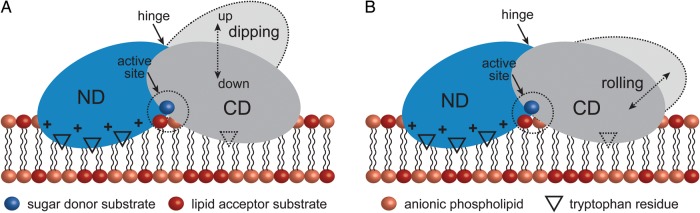 Fig. 4.