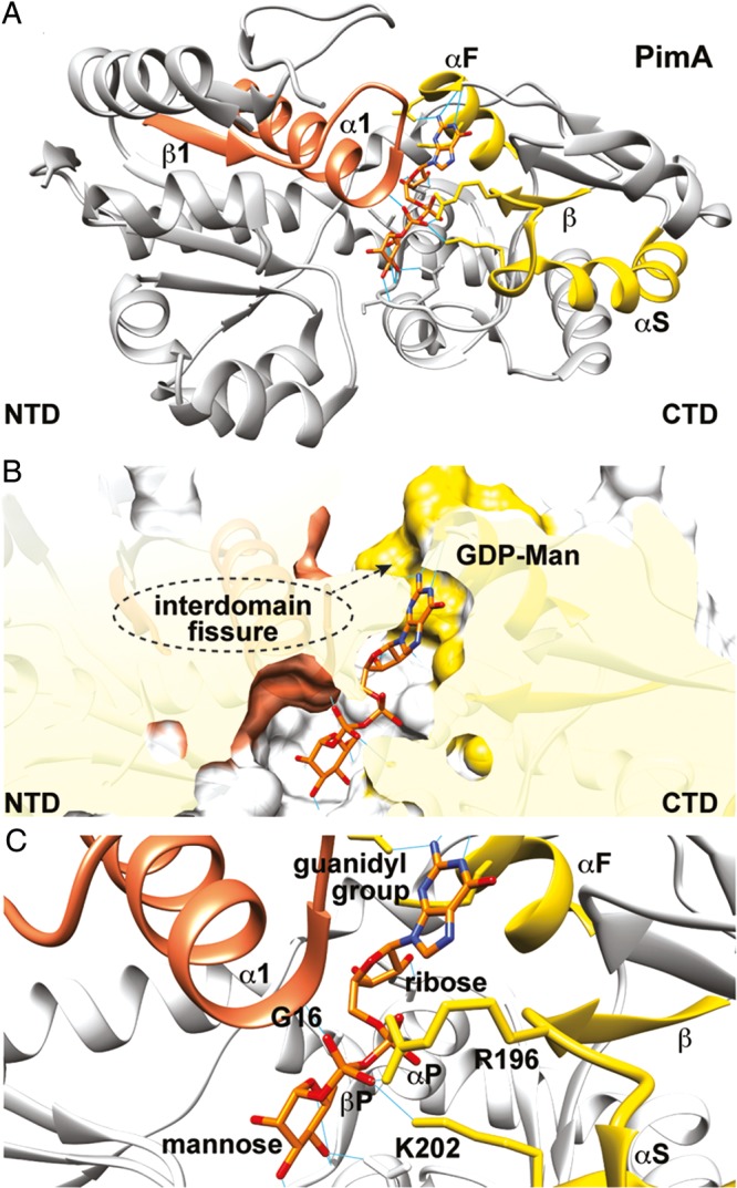 Fig. 9.