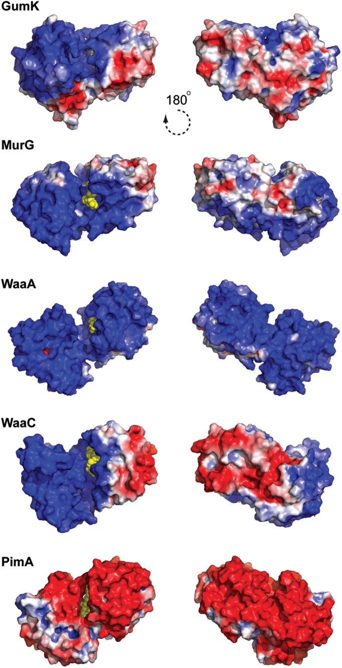 Fig. 6.