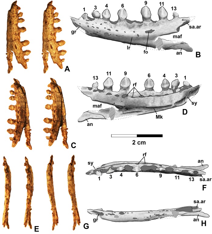 Figure 10