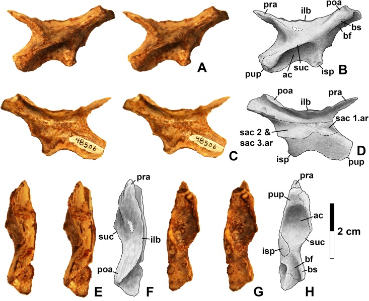 Figure 14