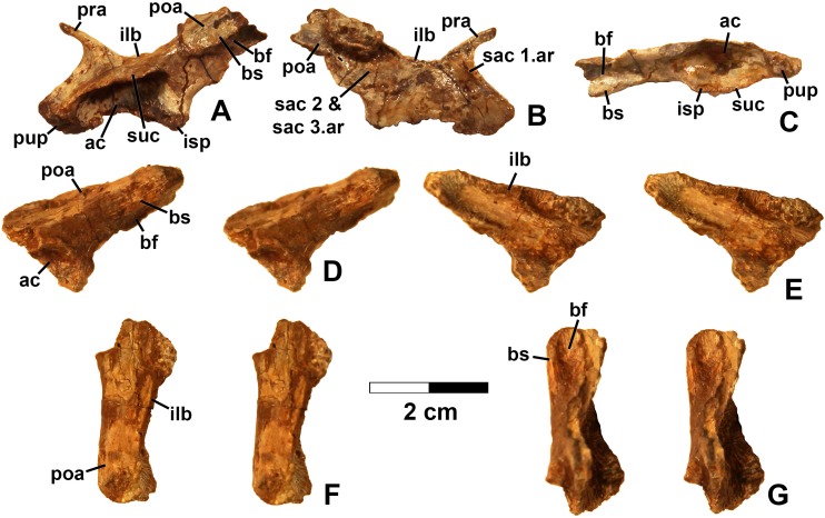 Figure 15