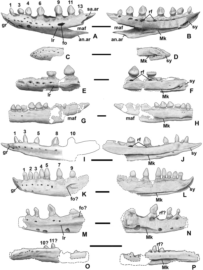 Figure 22