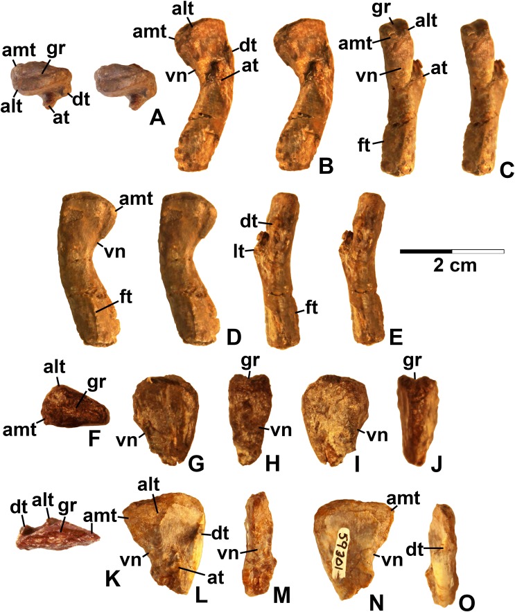 Figure 19