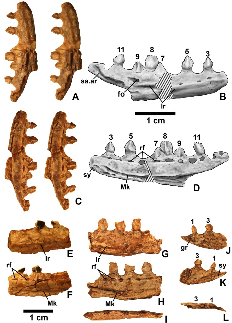 Figure 11