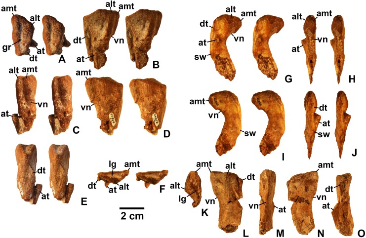 Figure 17