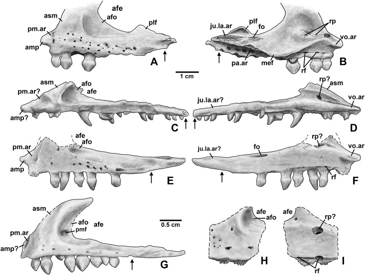 Figure 21