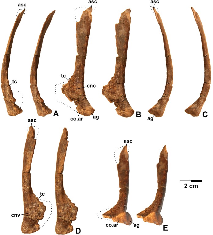 Figure 5