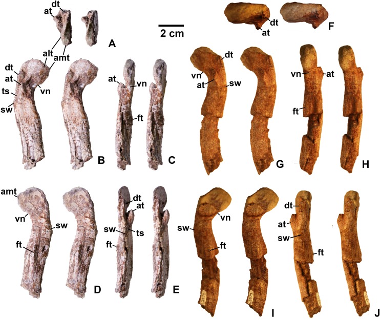 Figure 18