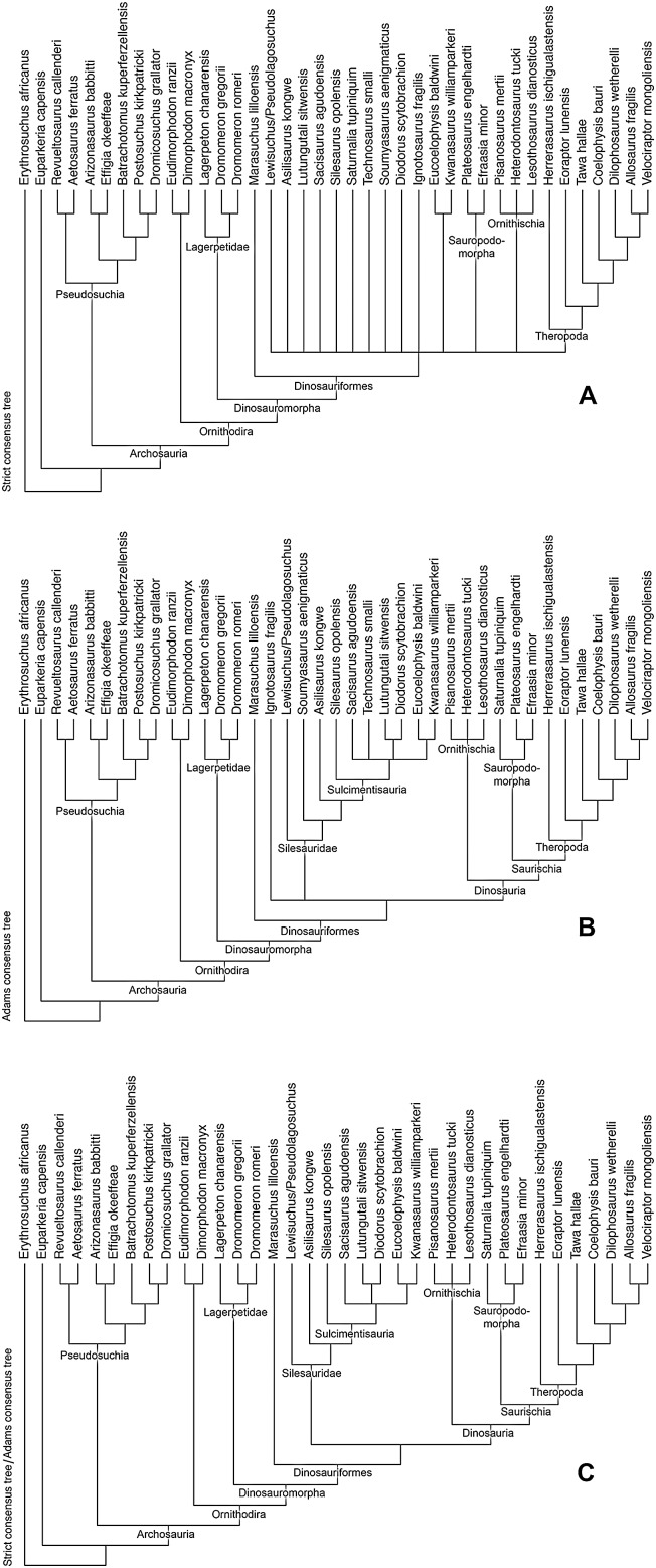 Figure 23