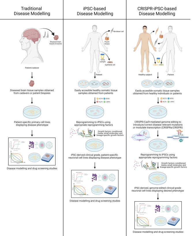 CRISPR and iPSCs: Recent Developments and Future Perspectives in ...