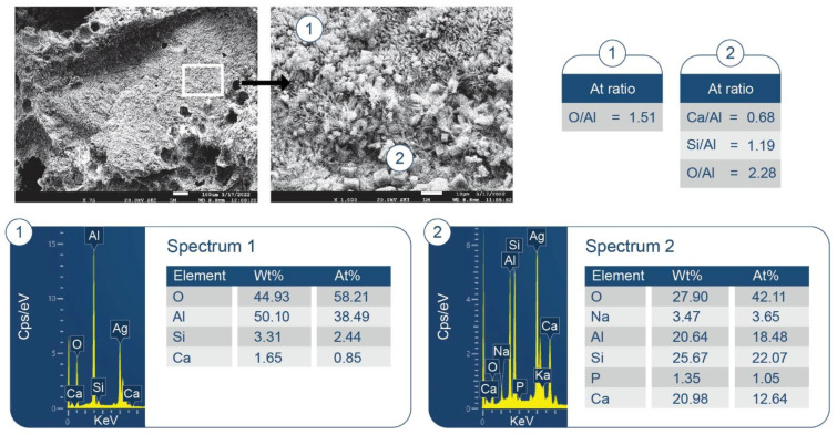 Figure 38