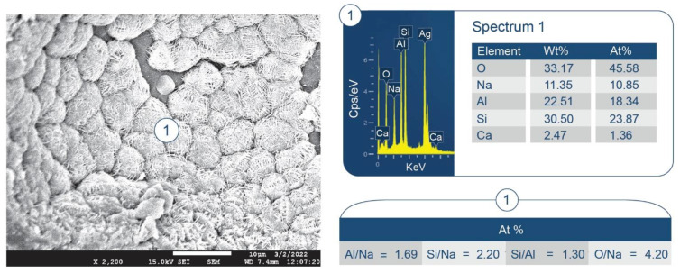 Figure 12