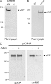 FIG. 3.