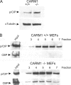 FIG. 9.