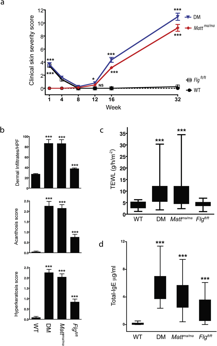 Fig E5