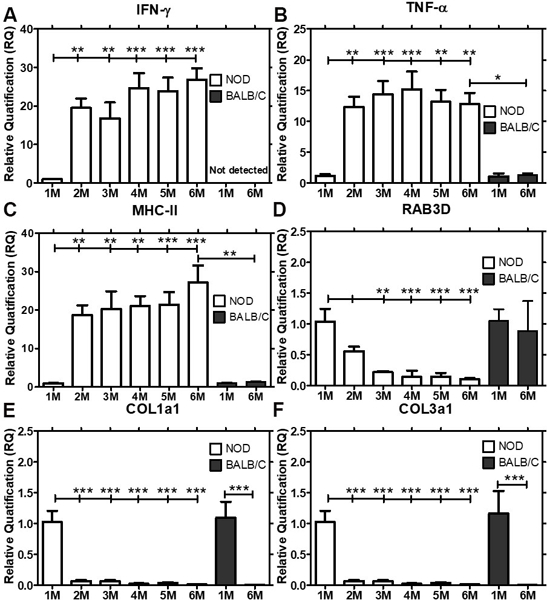 Fig 2: