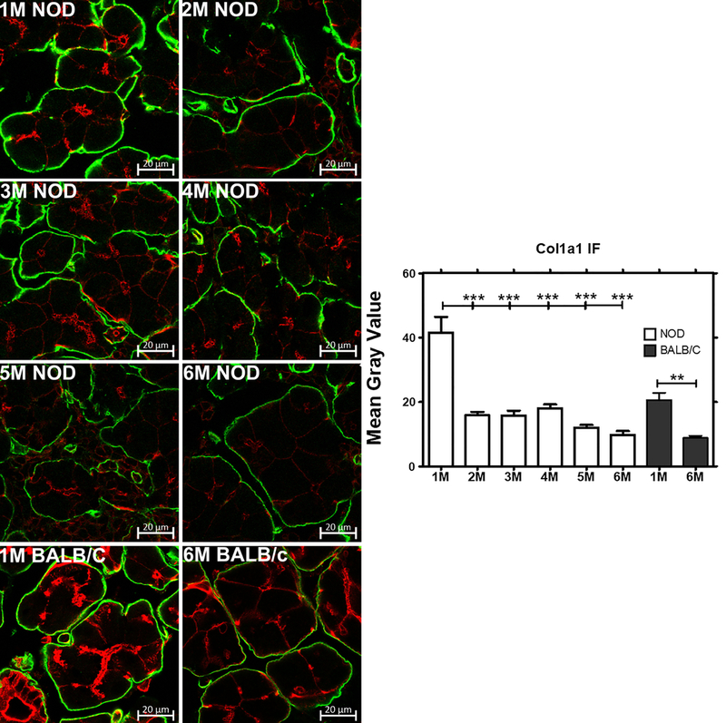 Fig 3: