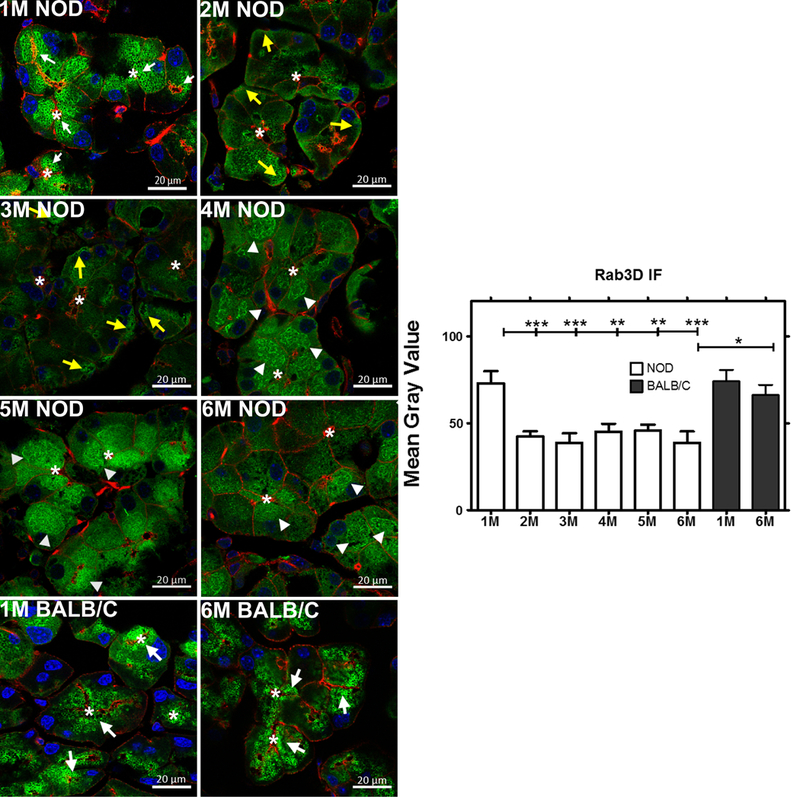 Fig 6: