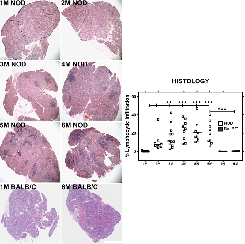 Fig 1: