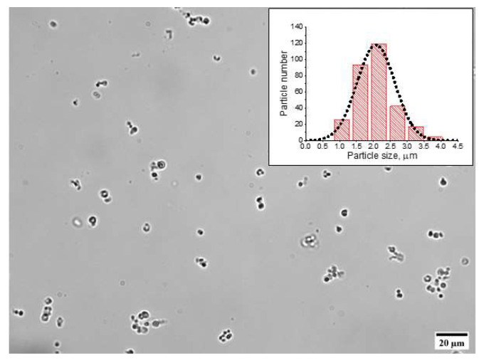 Figure 2