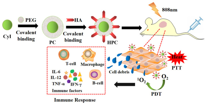 Figure 19