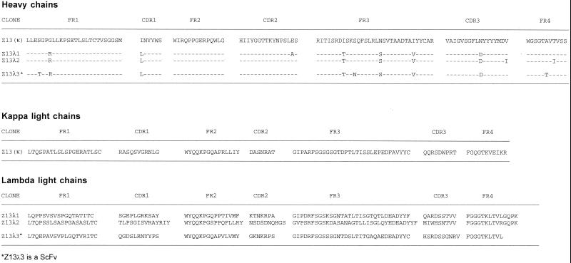 FIG. 1