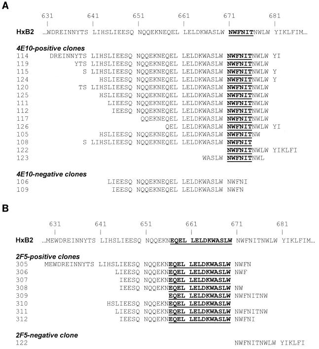 FIG. 6