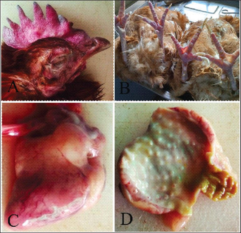 Fig. 2.