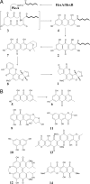 Fig. 1.