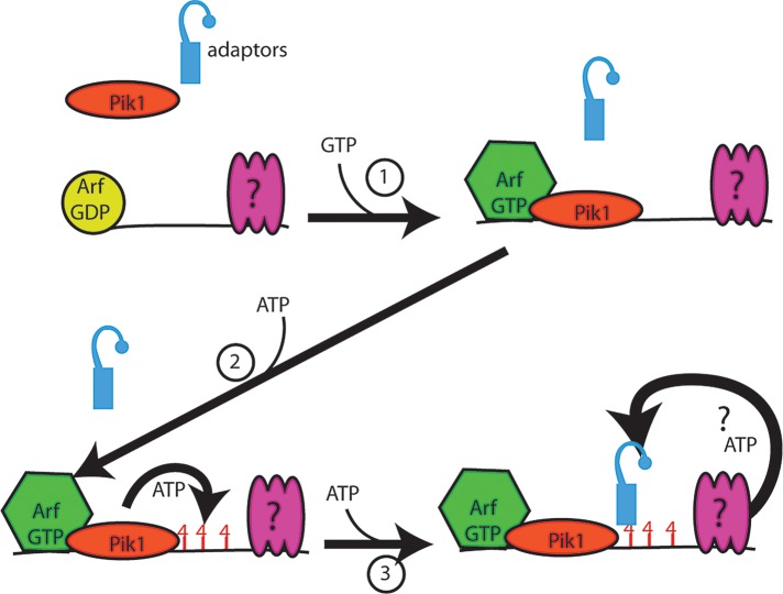 FIGURE 11: