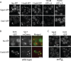 FIGURE 6: