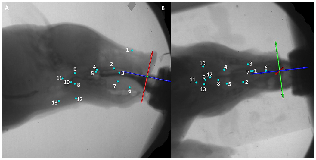 Figure 1.