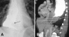 Figure 1)