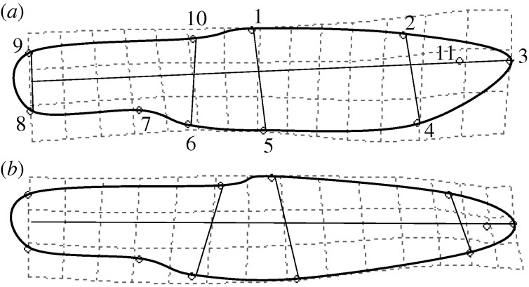 Figure 1.