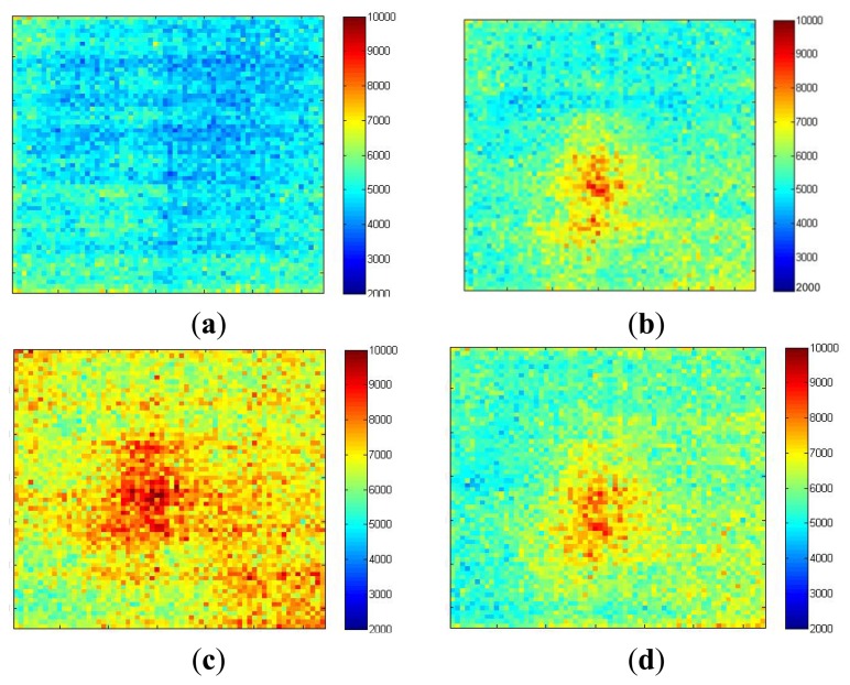 Figure 13.