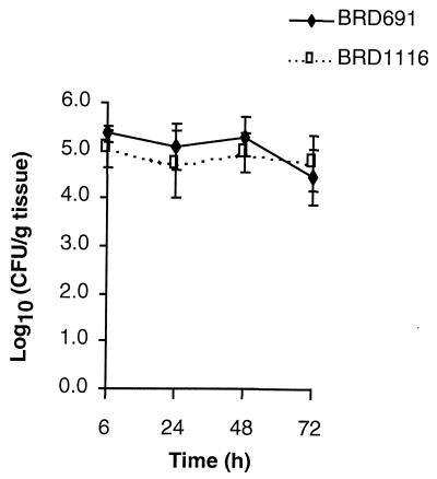 FIG. 7