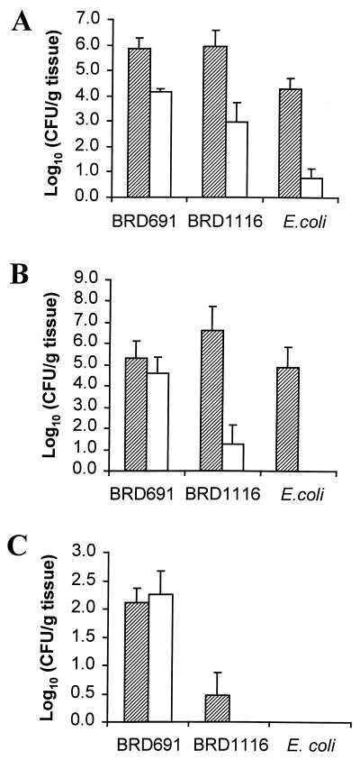 FIG. 6