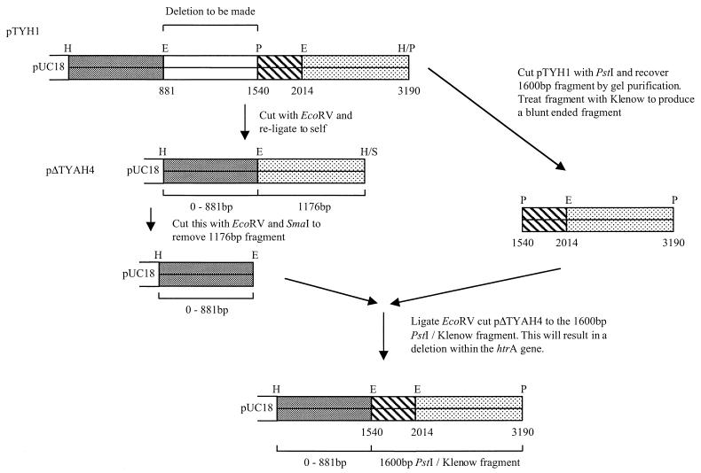 FIG. 1