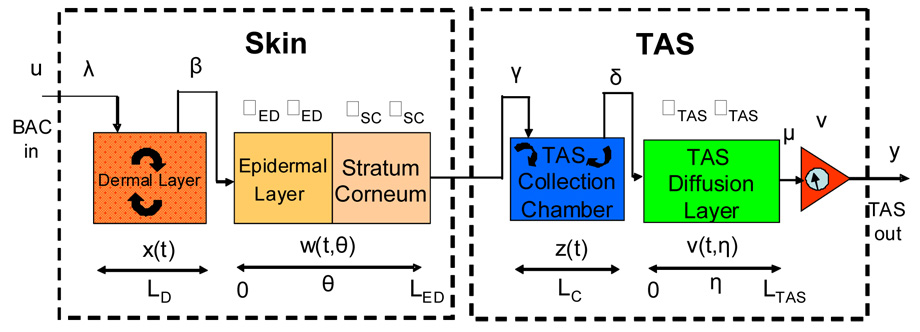 FIGURE 3.1