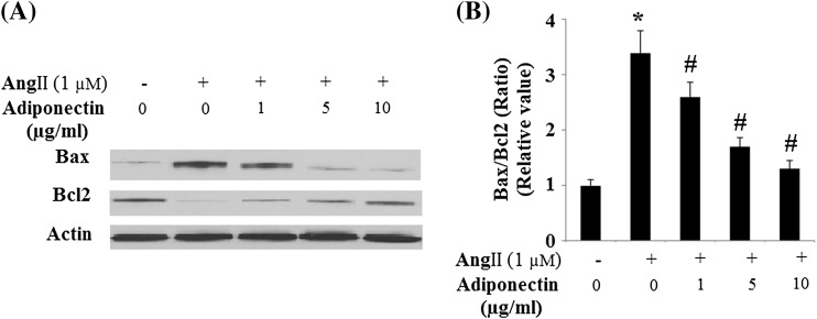 Fig. 11