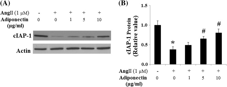 Fig. 10