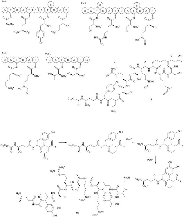 Fig. 9