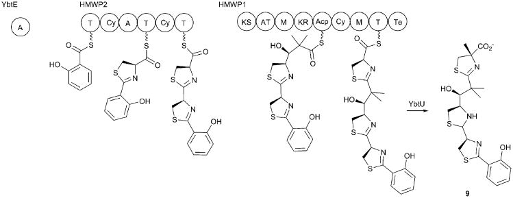 Fig. 5