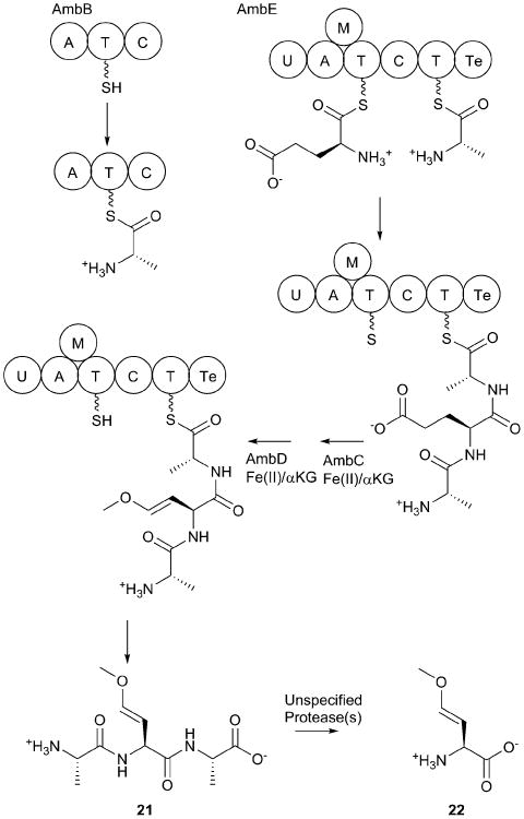 Fig. 11