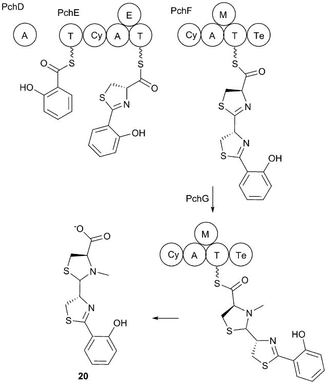 Fig. 10