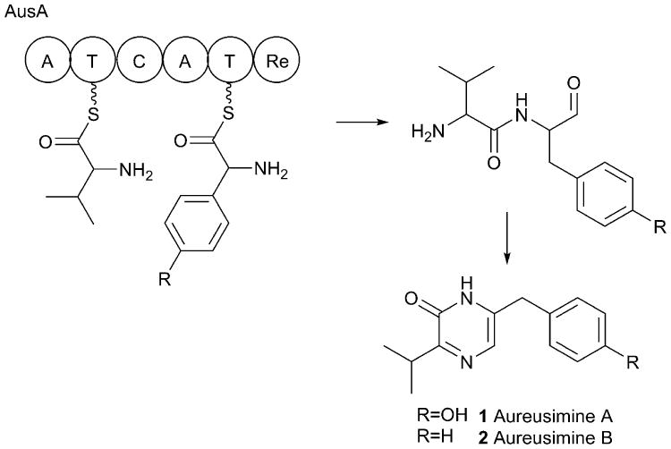 Fig. 2