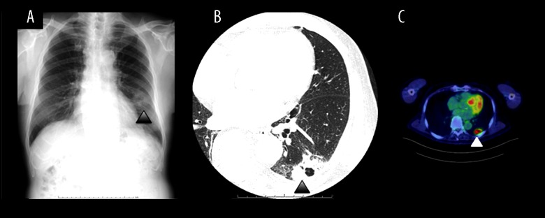 Figure 1.