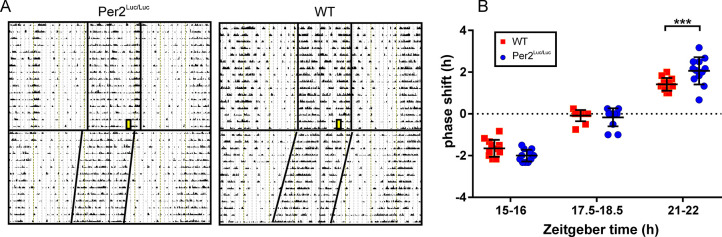 Fig 5