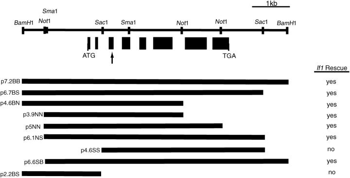 Figure 4.—